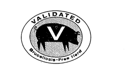 VALIDATED V BRUCELLOSIS-FREE HERD
