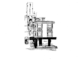 THE BUENA VISTA