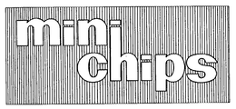MINI CHIPS