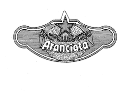 SANPELLEGRINO ARANCIATA