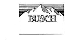 BUSCH