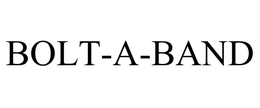 BOLT-A-BAND