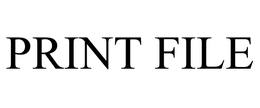 PRINT FILE