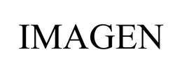 IMAGEN
