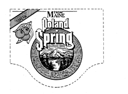 CHERRY ESSENCE FROM MAINE POLAND SPRING NATURAL SPRING WATER WITH THE ADDED ESSENCE OF CHERRY