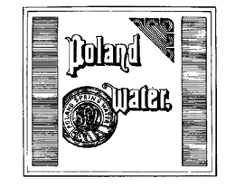 POLAND WATER POLAND SPRING WATER