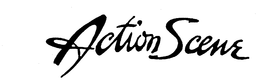 ACTION SCENE