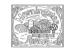 MORNINGSTAR FARMS