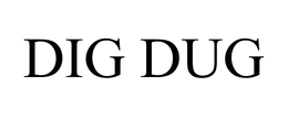 DIG DUG