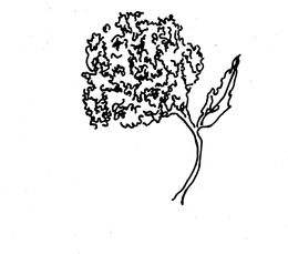 74105582