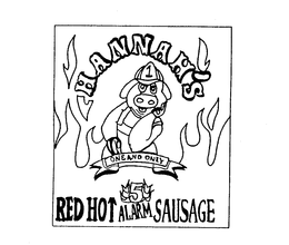 HANNAH'S 1 ONE AND ONLY RED HOT 5 ALARMSAUSAGE