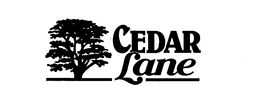 CEDAR LANE