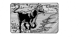 TAURUS