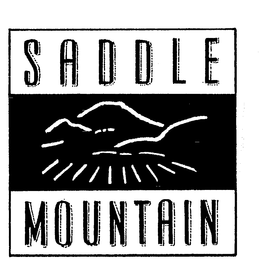 SADDLE MOUNTAIN