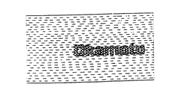 OKAMOTO
