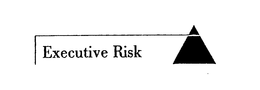 EXECUTIVE RISK