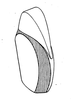 74801998