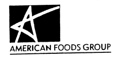 A AMERICAN FOODS GROUP