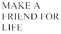 MAKE A FRIEND FOR LIFE