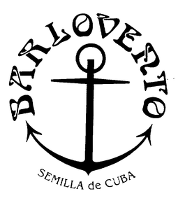 BARLOVERTO SEMILLA DE CUBA