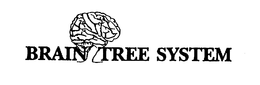 BRAIN TREE SYSTEM