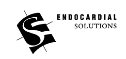 SE ENDOCARDIAL SOLUTIONS
