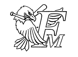 FM
