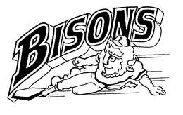 BISONS