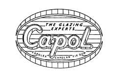 THE GLAZING EXPERTS CAPOL CAPOLEX CAPOLAN FIX GUM