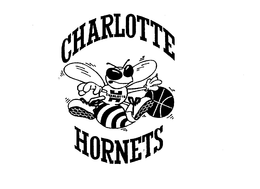 CHARLOTTE HORNETS