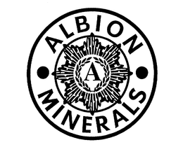A ALBION MINERALS