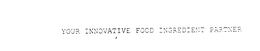YOUR INNOVATIVE FOOD INGREDIENT PARTNER