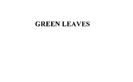 GREEN LEAVES