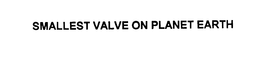 SMALLEST VALVE ON PLANET EARTH