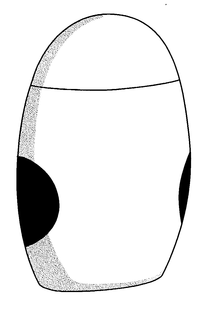76015061