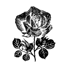 76130888