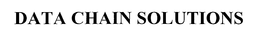 DATA CHAIN SOLUTIONS