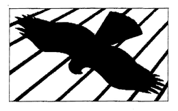 HAWK