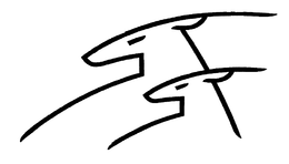 76352244