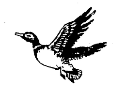 76372041