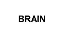 BRAIN