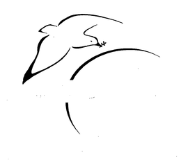 76447279
