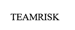 TEAMRISK
