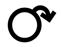 76530951