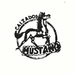 CALZADOS MUSTANG
