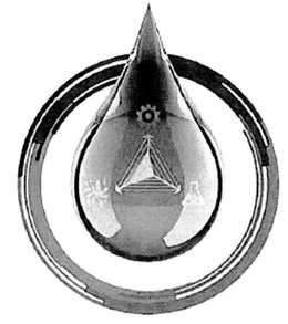 76720667