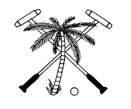 76977255