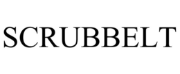 SCRUBBELT