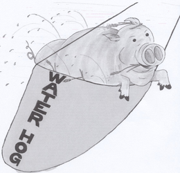 WATER HOG