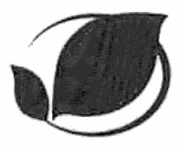 77089972